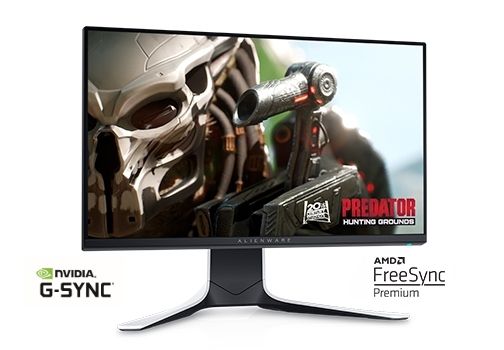 25" Dell Alienware 25 Monitor - AW2521HFL
