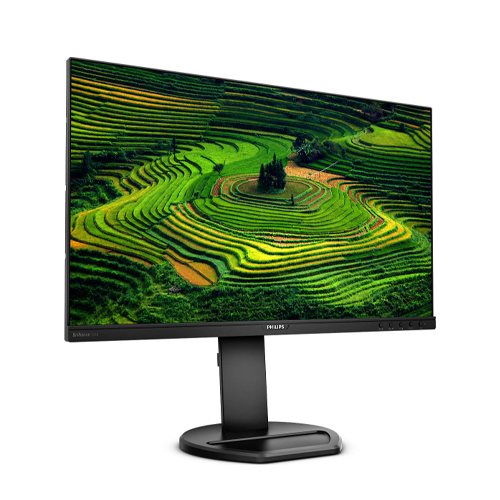 PHILIPS 241B8QJEB/00 "23.8 DP Full HD