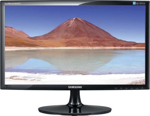 SAMSUNG SyncMaster BX2031 "20 DVI