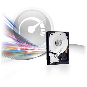 כונן קשיח WD Caviar® SE SATA-II‎I WD1002FAEX 1000GB 64MB Western Digital