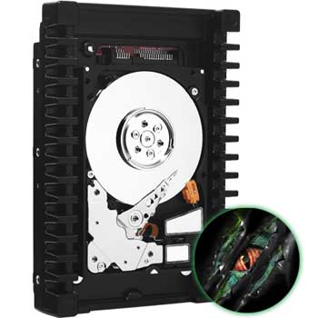 כונן קשיח WD Velcoi Raptor® SATA-II/III WD5000HHTZ 500GB 64MB Western Digital