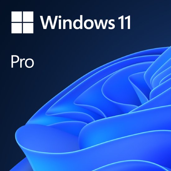 תוכנה אנגלית Microsoft WIN11 Professional 64Bit English Enabled
