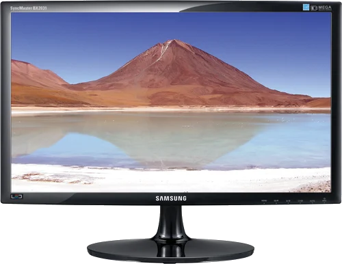 SAMSUNG SyncMaster BX2031 "20 DVI